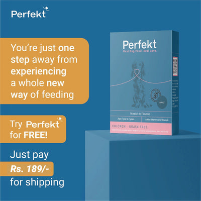 Two 200gm Fresh Dog Food Trial Packs (400 gm)