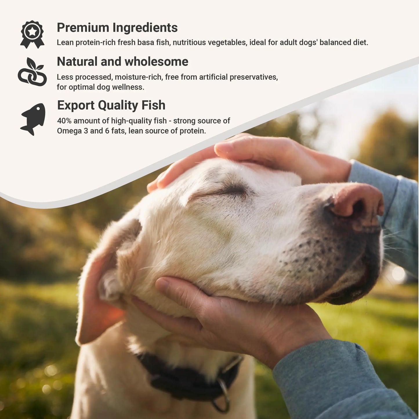 Essential Adult Fish and Vegetables