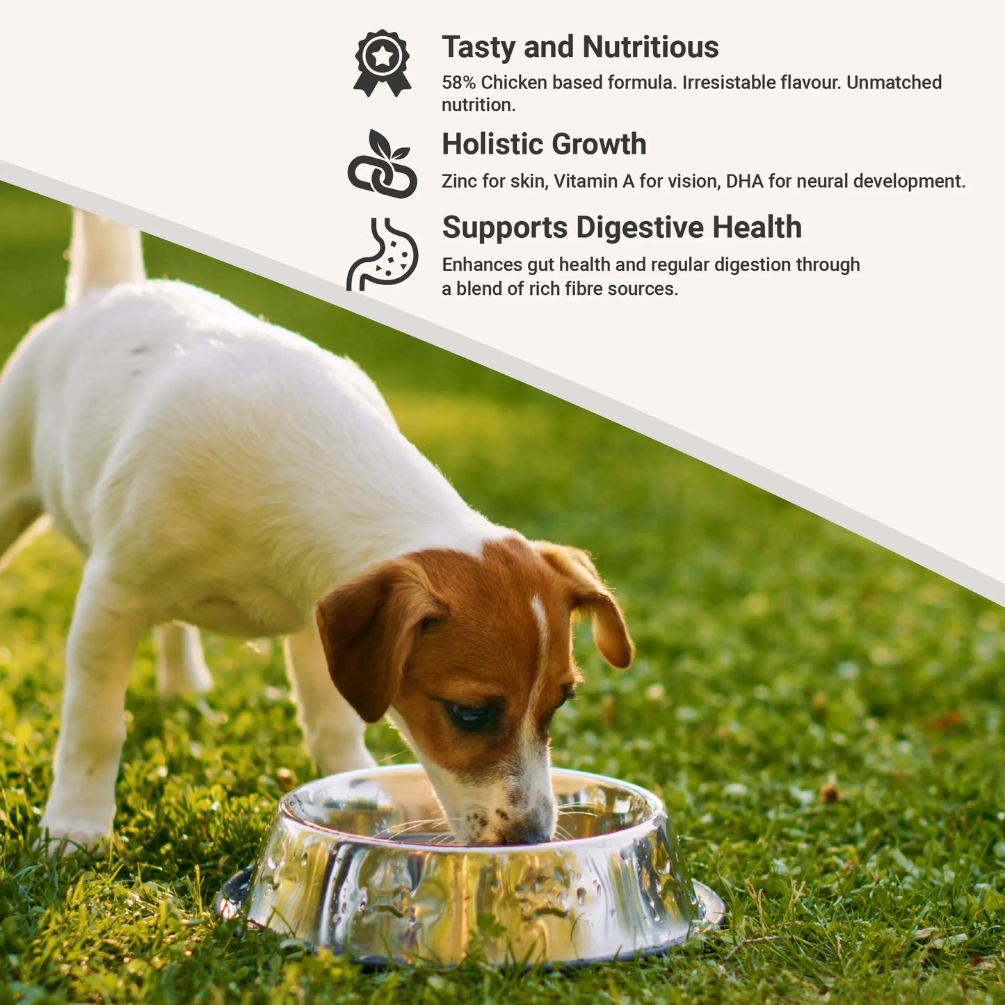 Essential Puppy Chicken and Vegetables