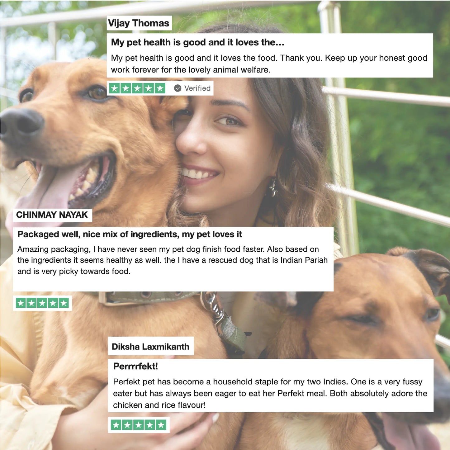 Two 200gm Fresh Dog Food Trial Packs (400 gm)