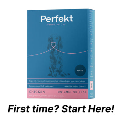 ₹189 Dog Food Trial Pack
