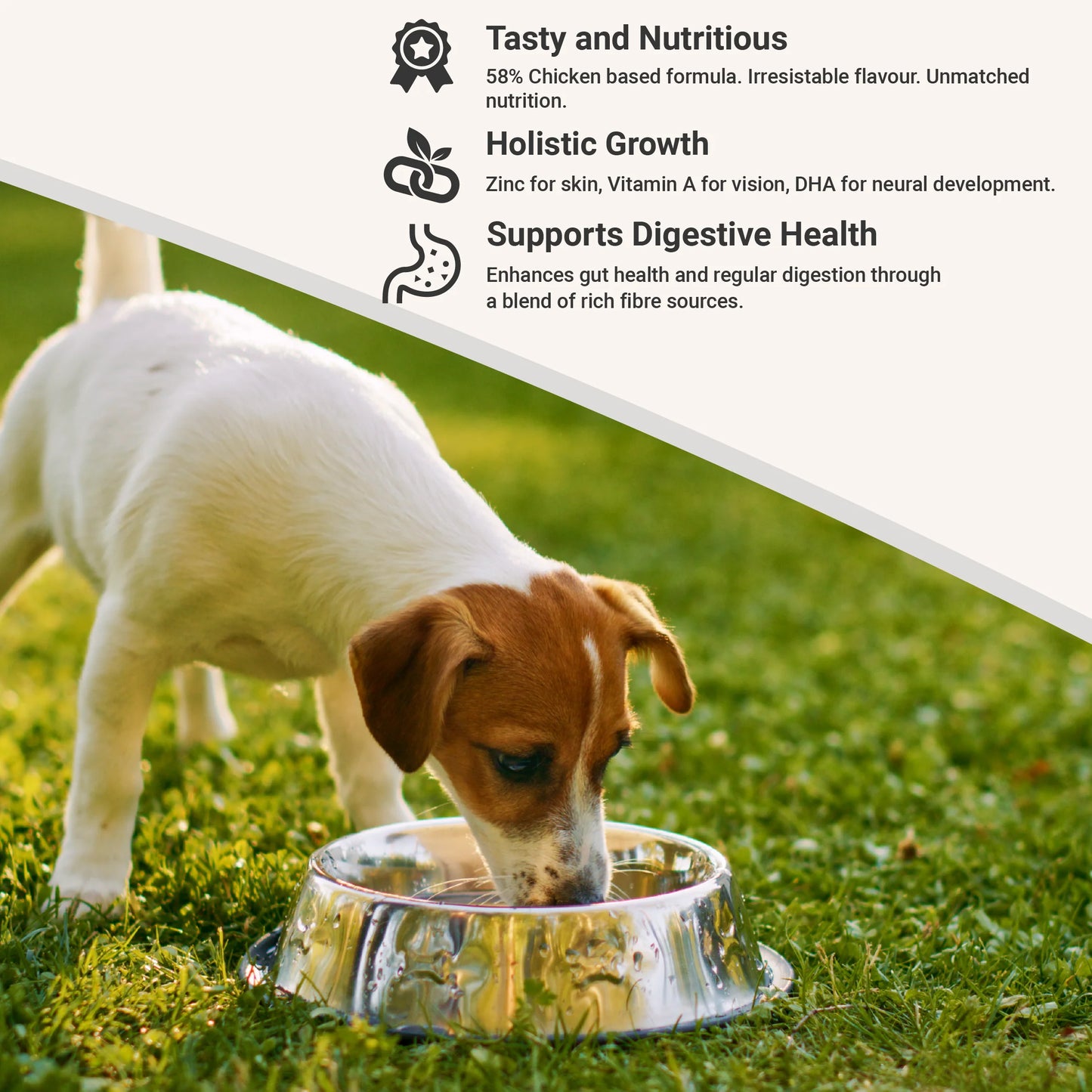 Essential Puppy Fish and Vegetables (Grain Free) - Entry Plan