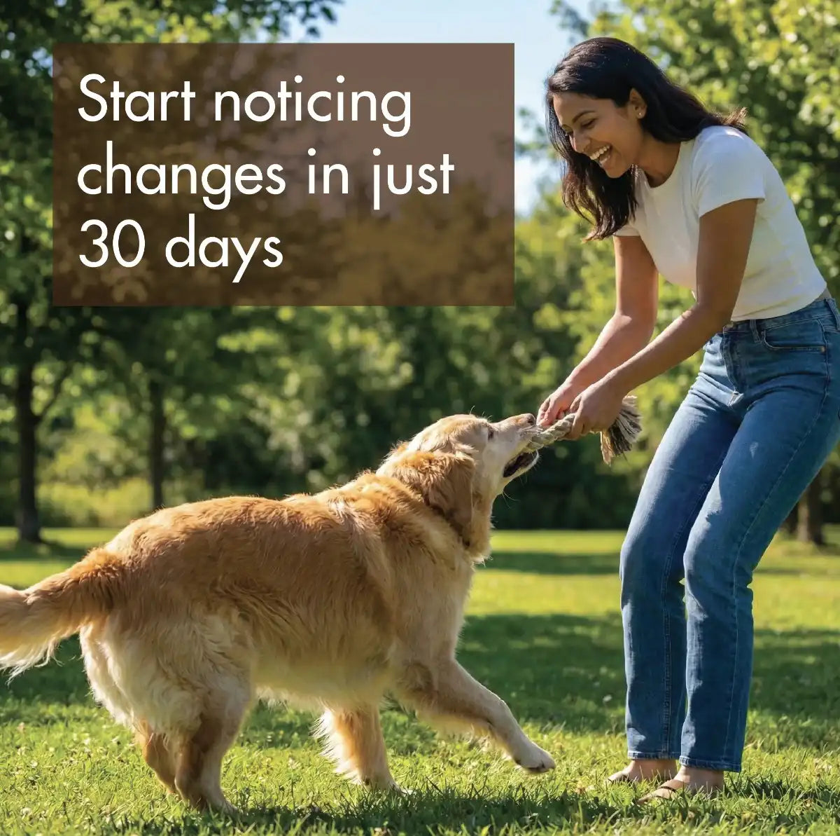 Bone and Joint Health (Summary)